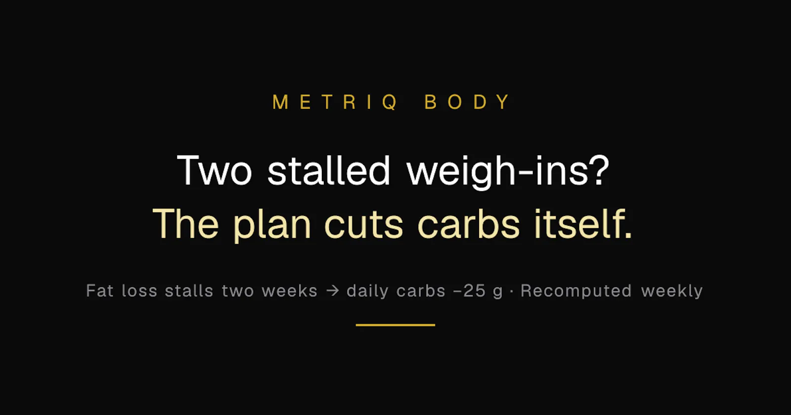 Metriq Body screenshot 1