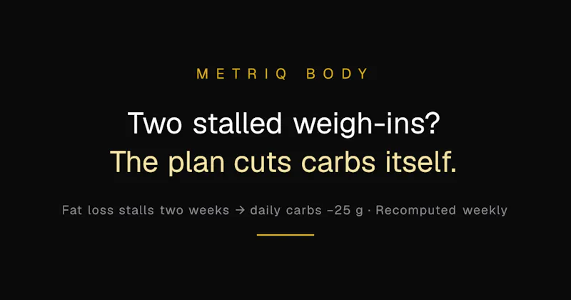 Metriq Body screenshot 1