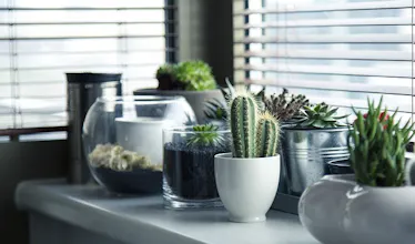 A marketplace for Interior Designers gallery image