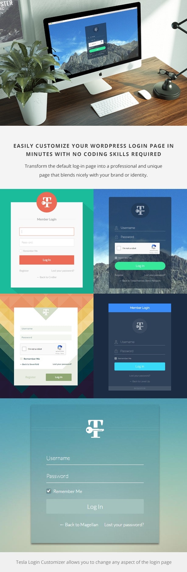 Tesla WordPress Login Area Customizer gallery image