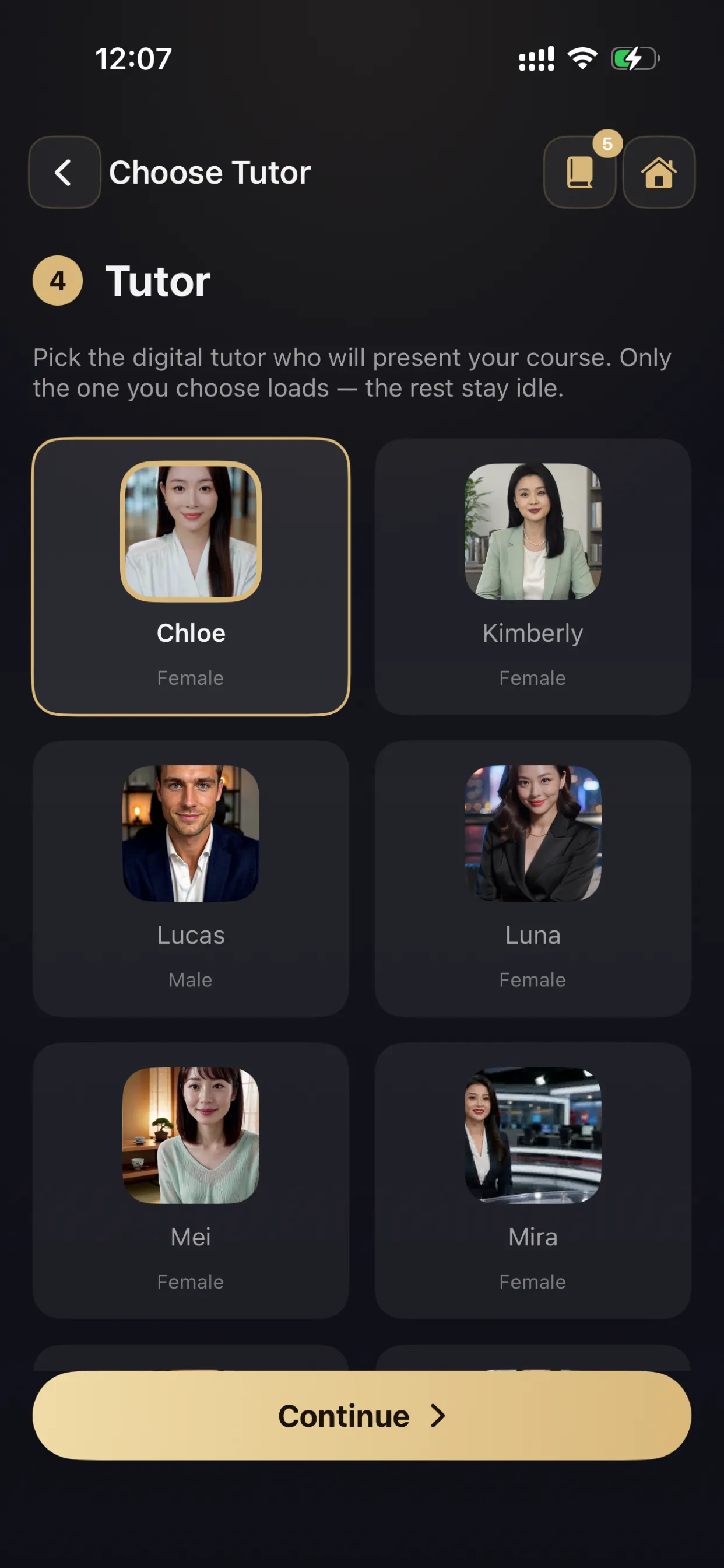 SlideTutor gallery image