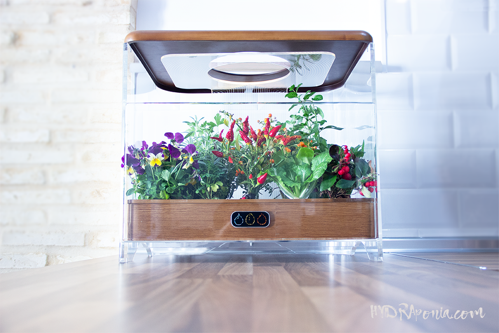 Hydraponia gallery image