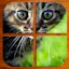 Kittens Puzzle