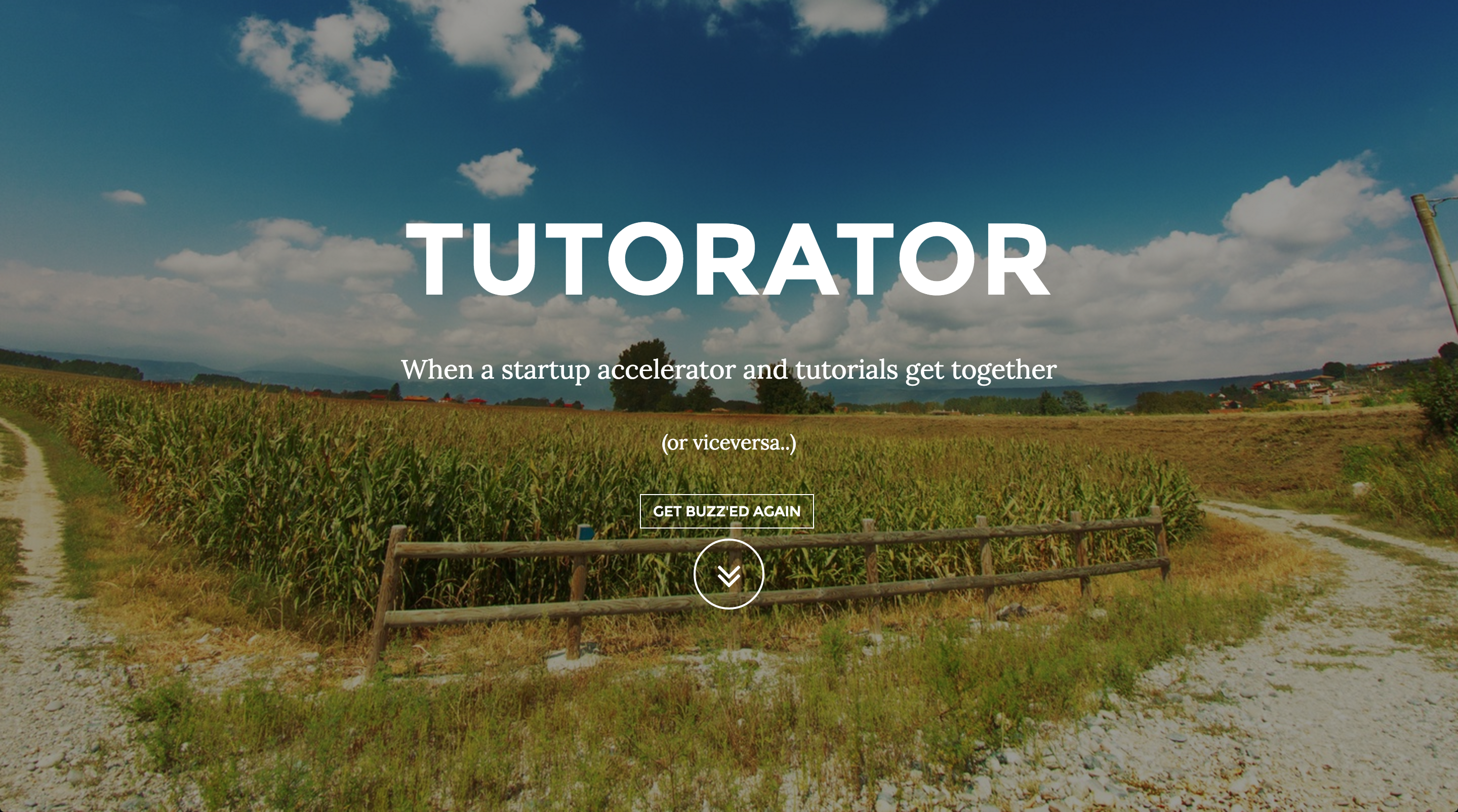 Buzztelling gallery image