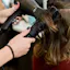 hair dryer