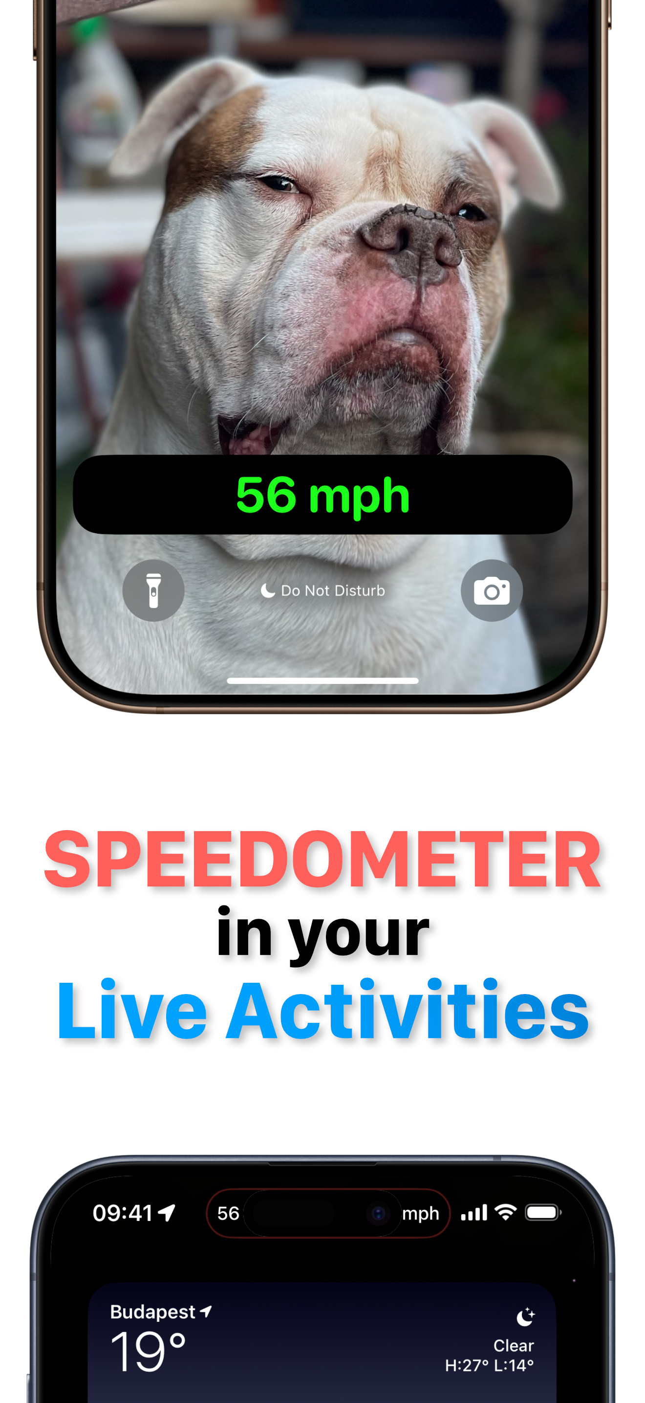 มาตรวัดความเร็วในกิจกรรม PIP & Live - มาตรวัดความเร็วง่ายกว่าแอพนำทางที่คุณชื่นชอบ media 2
