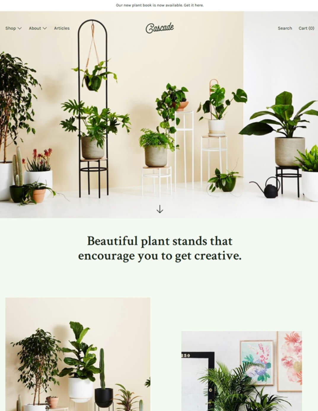 MakeShopify media 6
