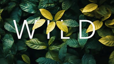 OverlayMagic gallery image