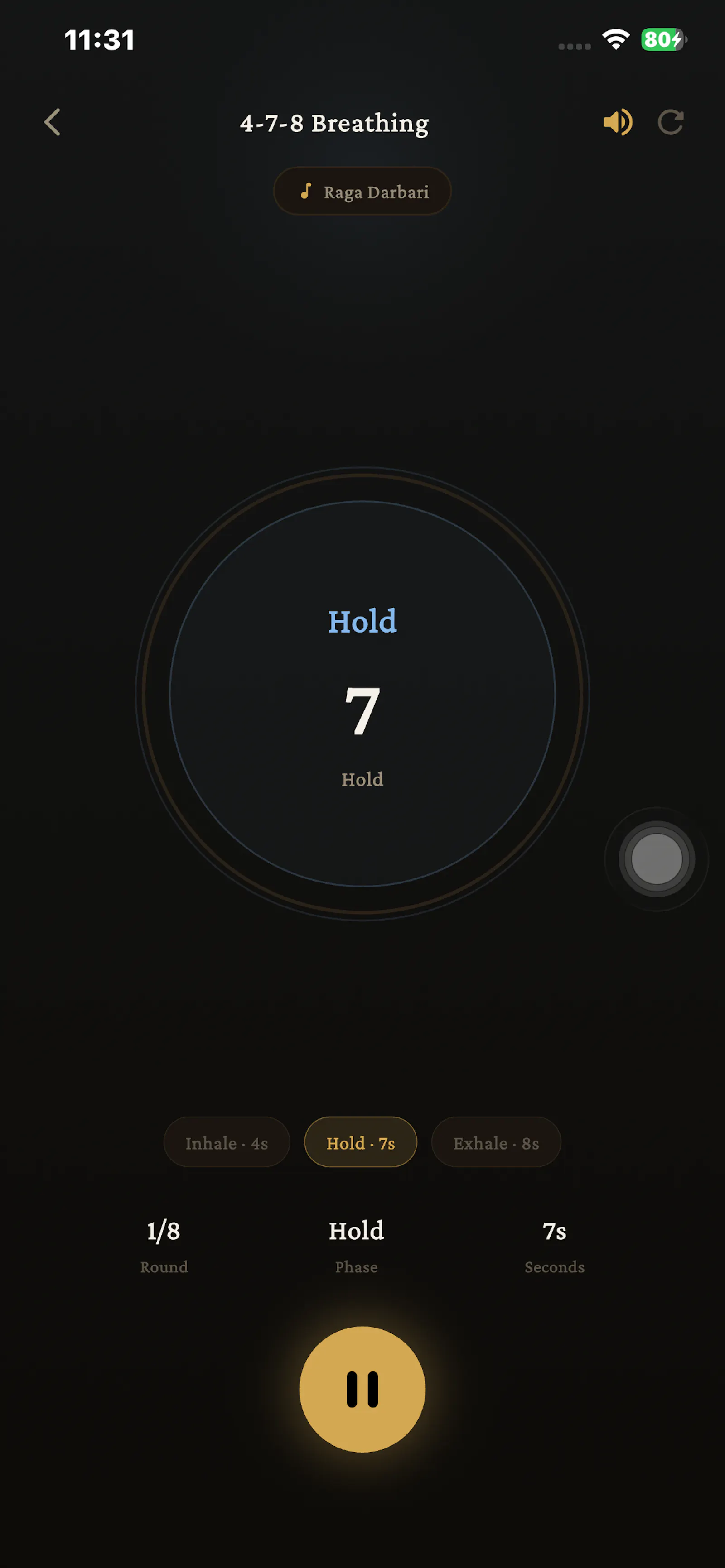 NAAD - Indian Sound Wellness screenshot 7