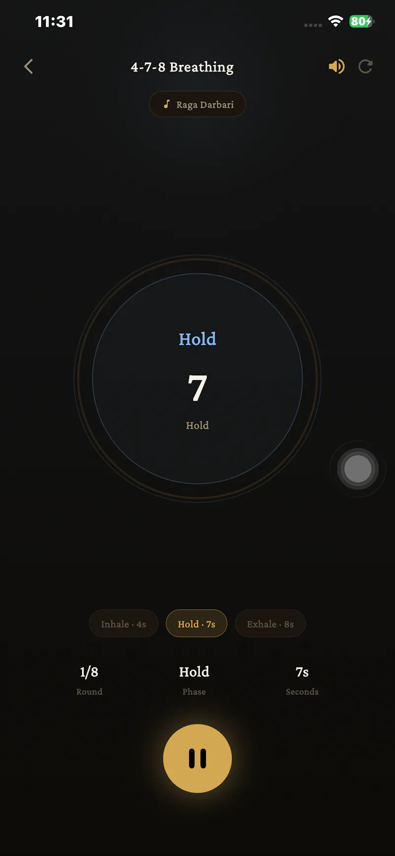NAAD - Indian Sound Wellness screenshot 7