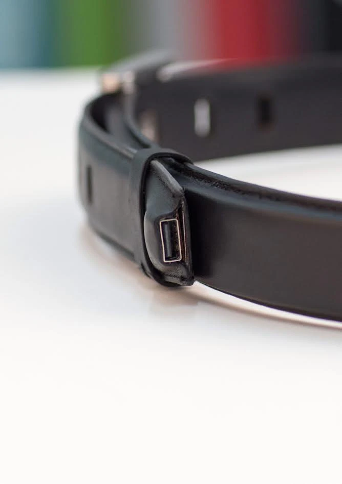 The Ion Belt