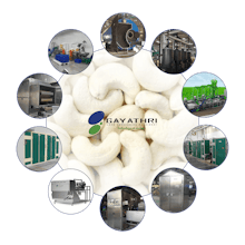 Cashew Nut Processing Machine gallery image