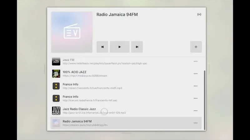 EV Radio screenshot 1 (video preview)