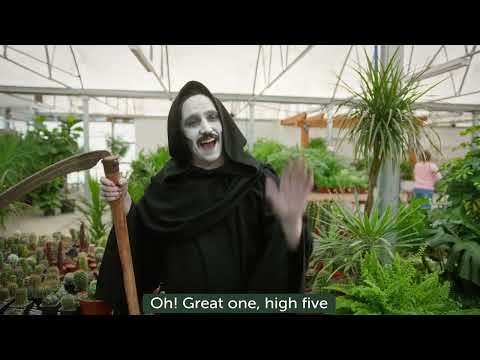 Leaflet gallery image