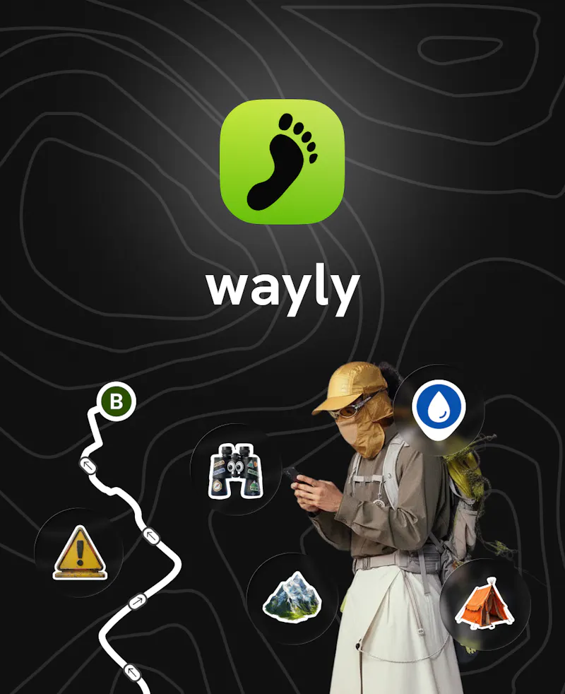wayly screenshot 9