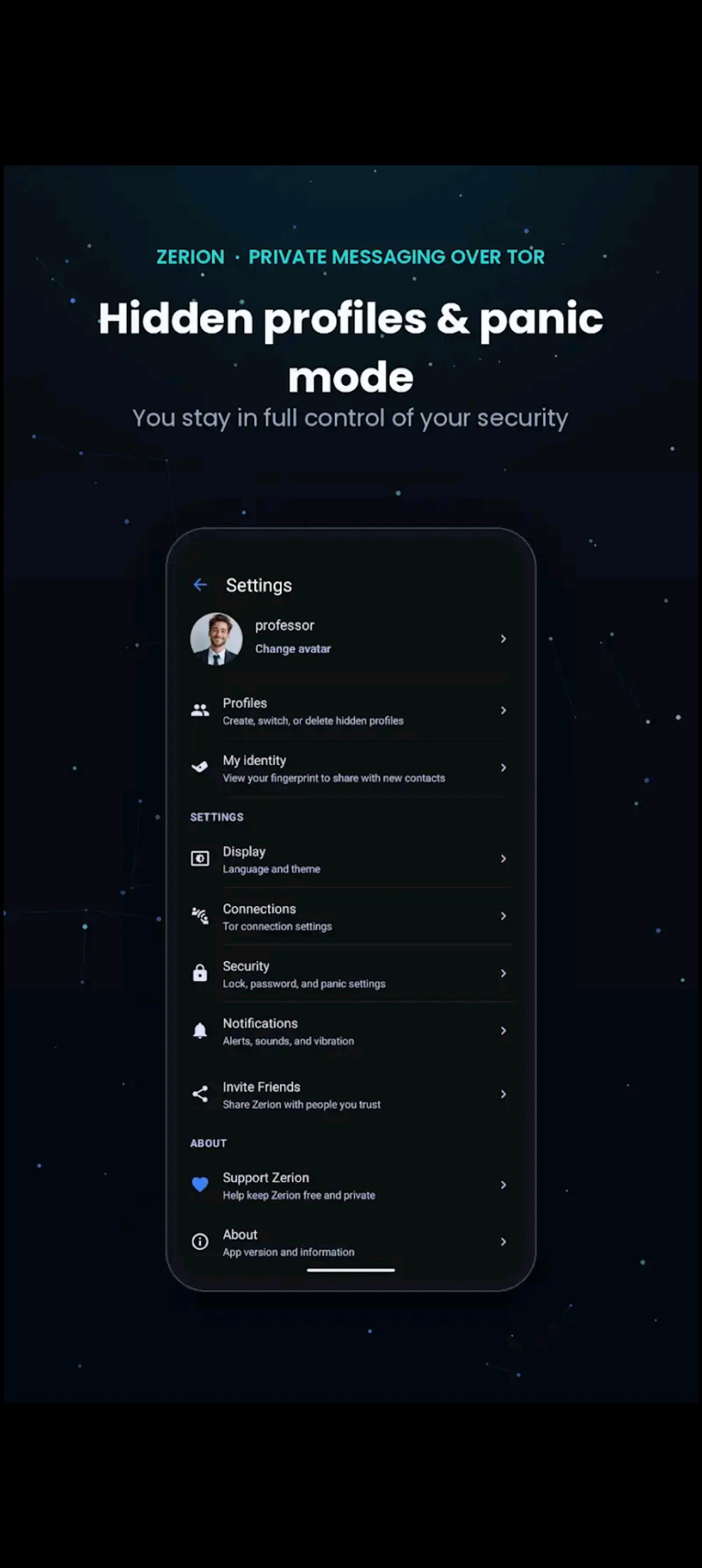 Zerion screenshot 2