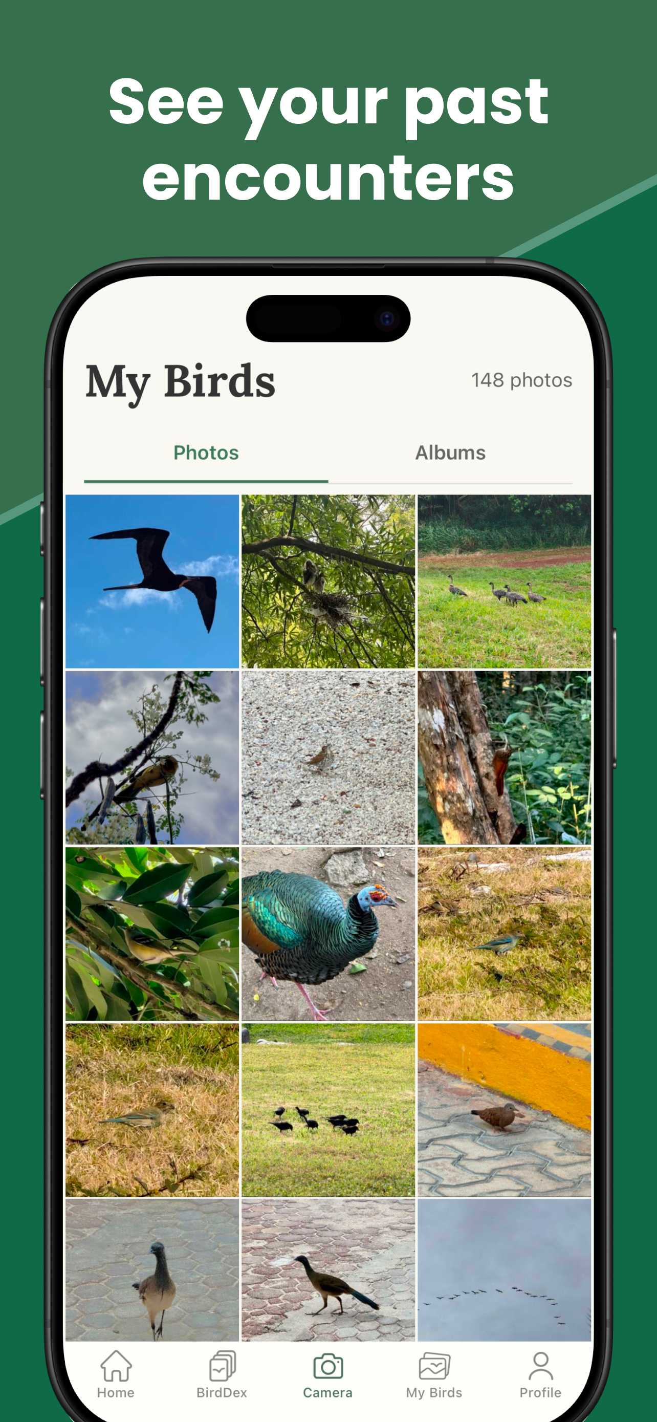 BirdDex gallery image