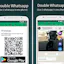 Double Whatsapp