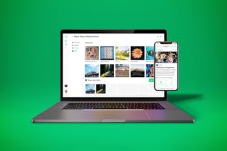 Seenit Stellar gallery image