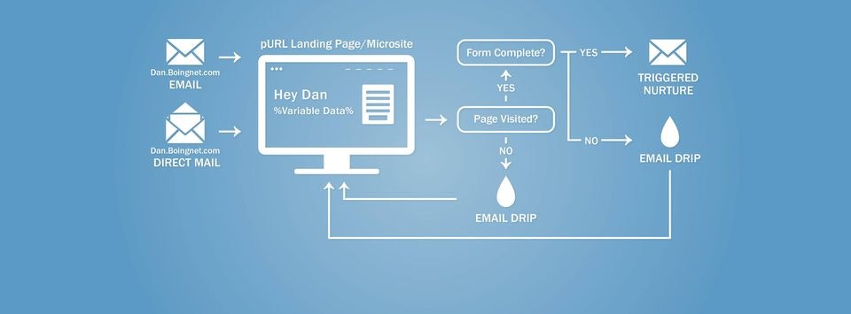 Boingnet gallery image