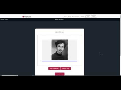 PicTush gallery image