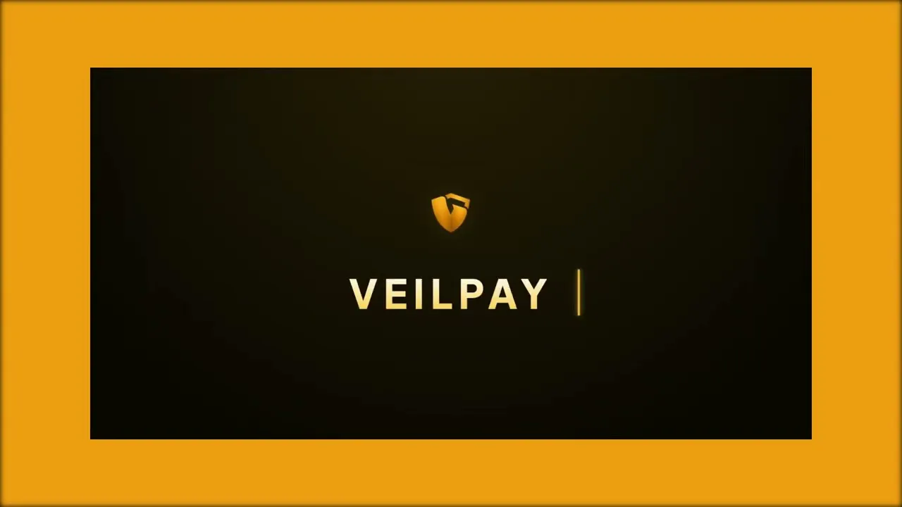 Veilpay gallery image
