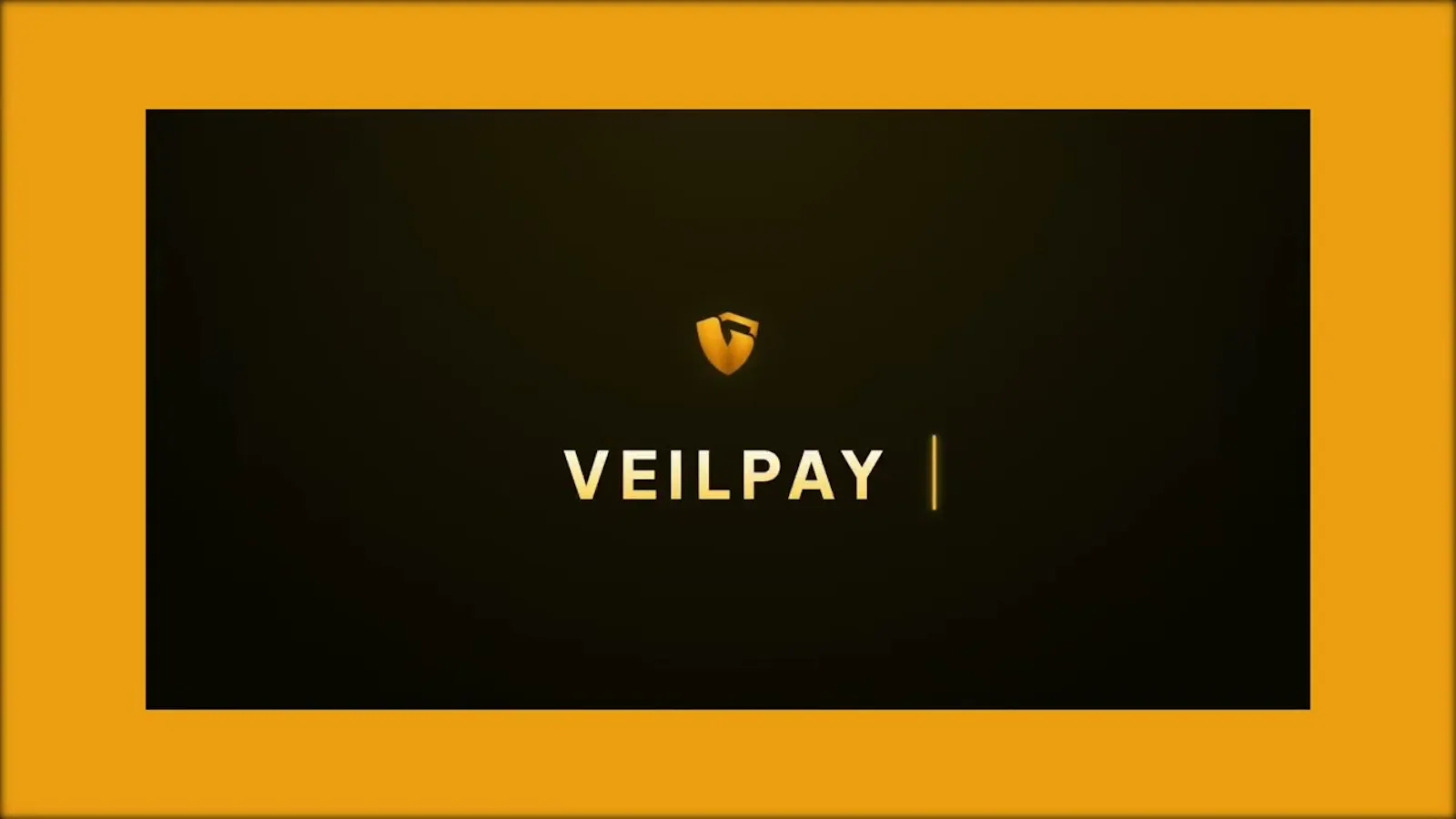 Veilpay screenshot 1 (video preview)