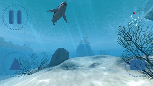 Sharks VR gallery image