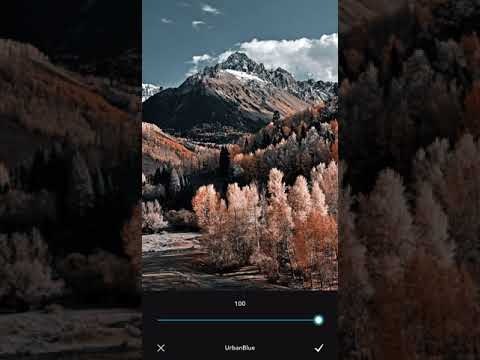 Moodshot gallery image