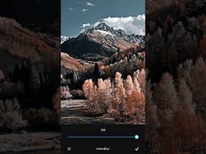 Moodshot gallery image