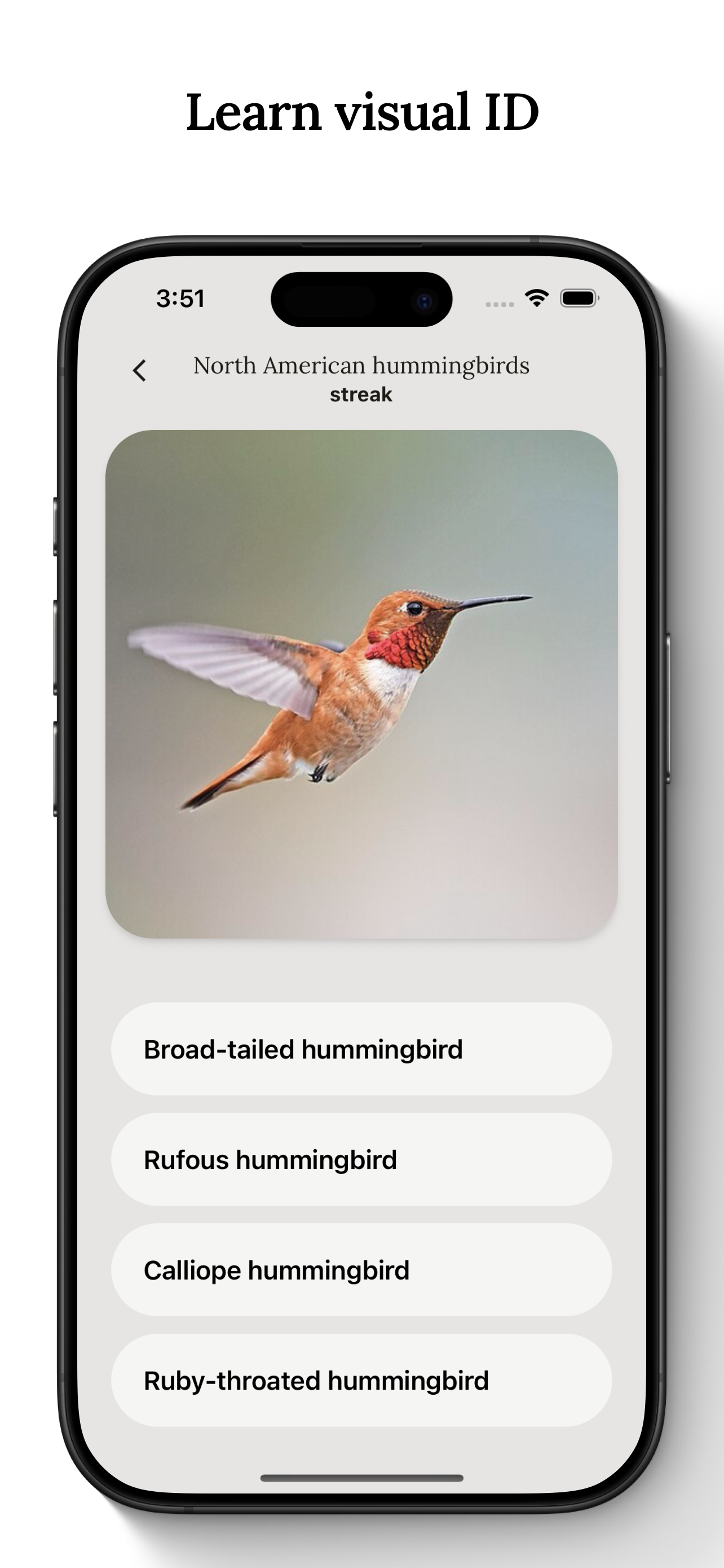 Birdwise gallery image