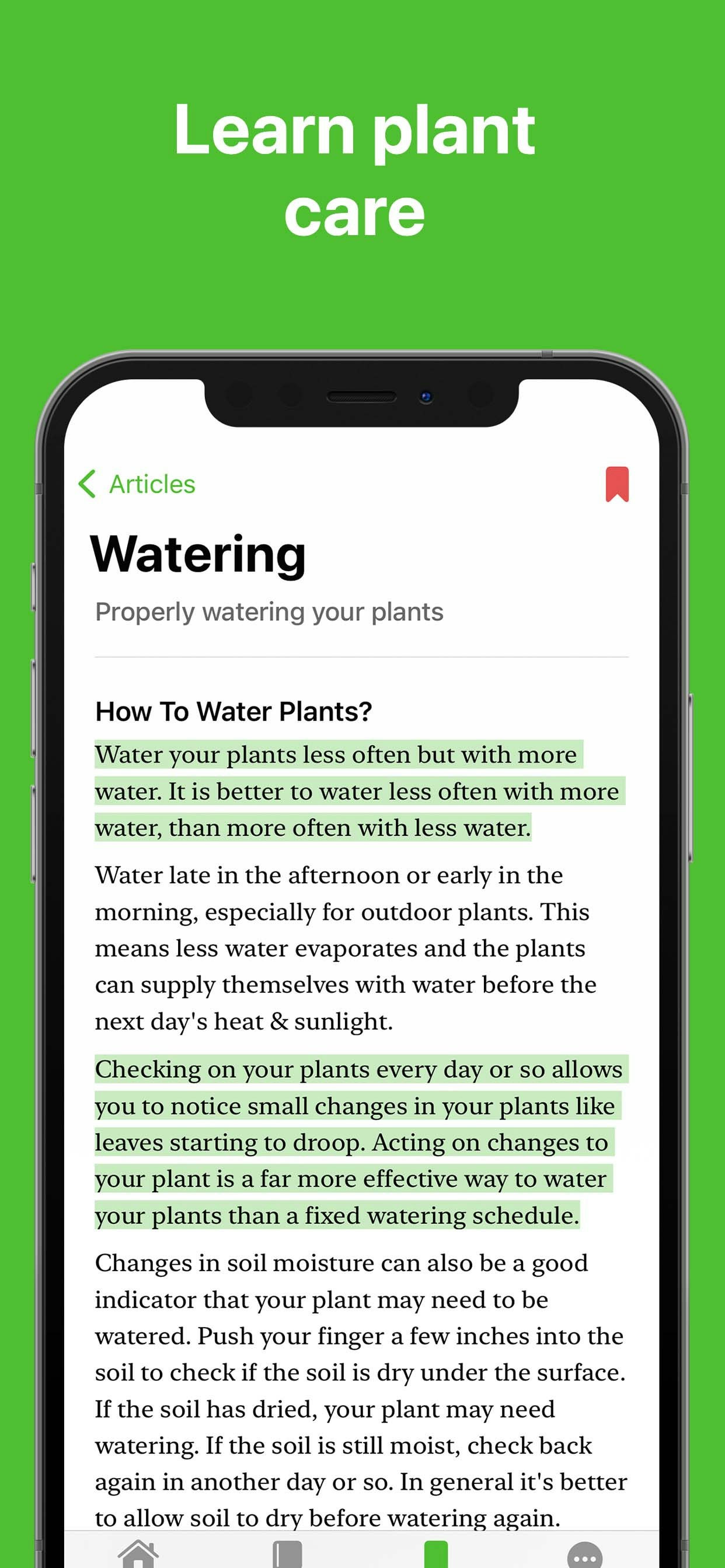 Flora - Better Gardening gallery image