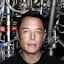 The Musk Letter