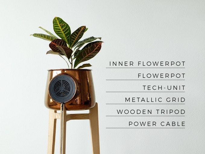 Clairy gallery image