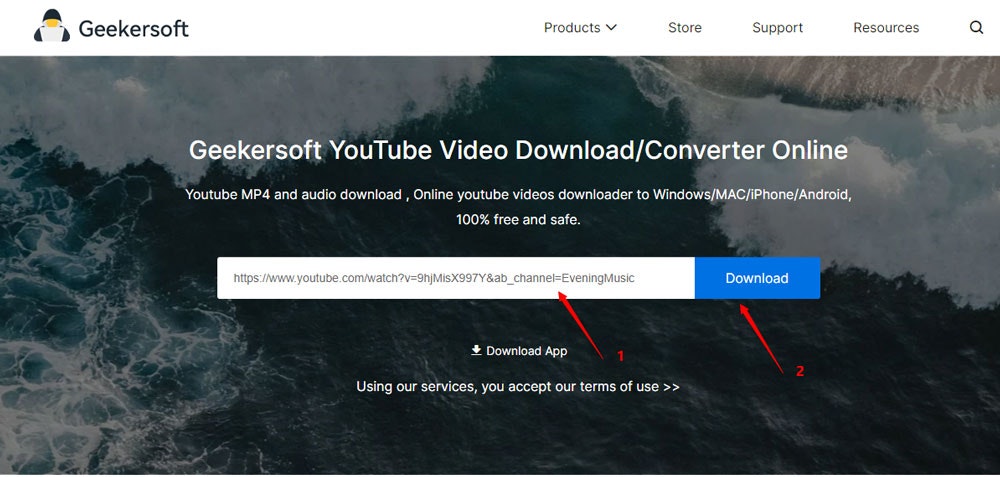 Geekersoft Free Video Downloader Online gallery image