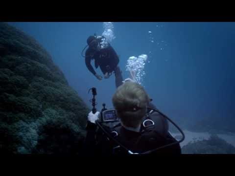 Deepblu inc gallery image