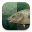 Stockfish