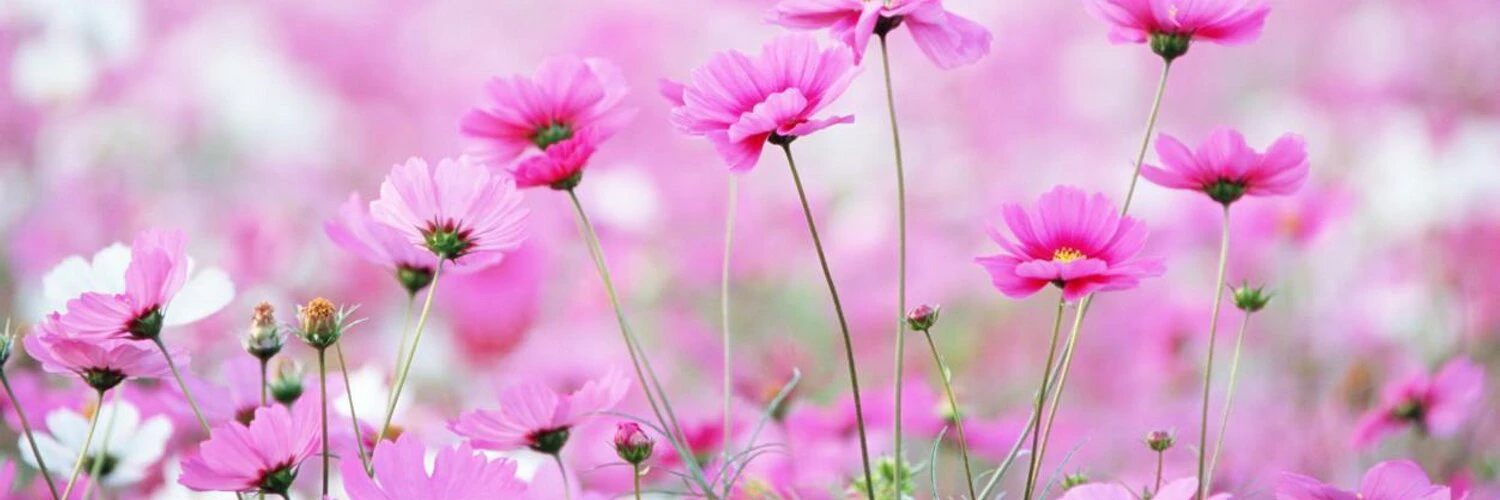 Tatiana Kochedykova cover