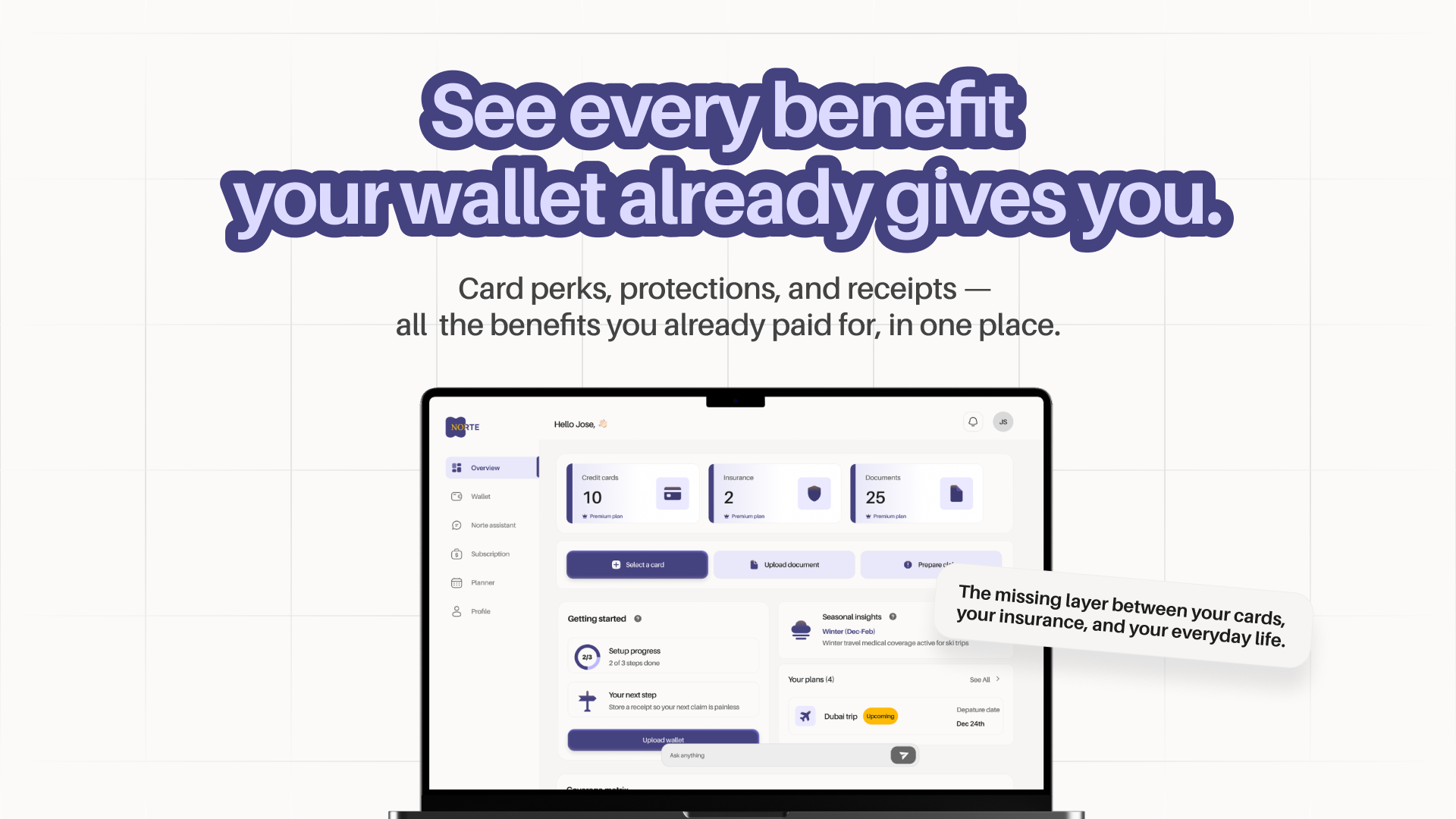 Norte — Your wallet’s benefits brain gallery image