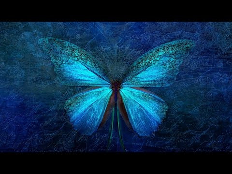 Orion's Light & Pleiadian Reiki-Level 2. gallery image