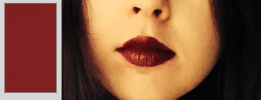 lipcolourmatch.com