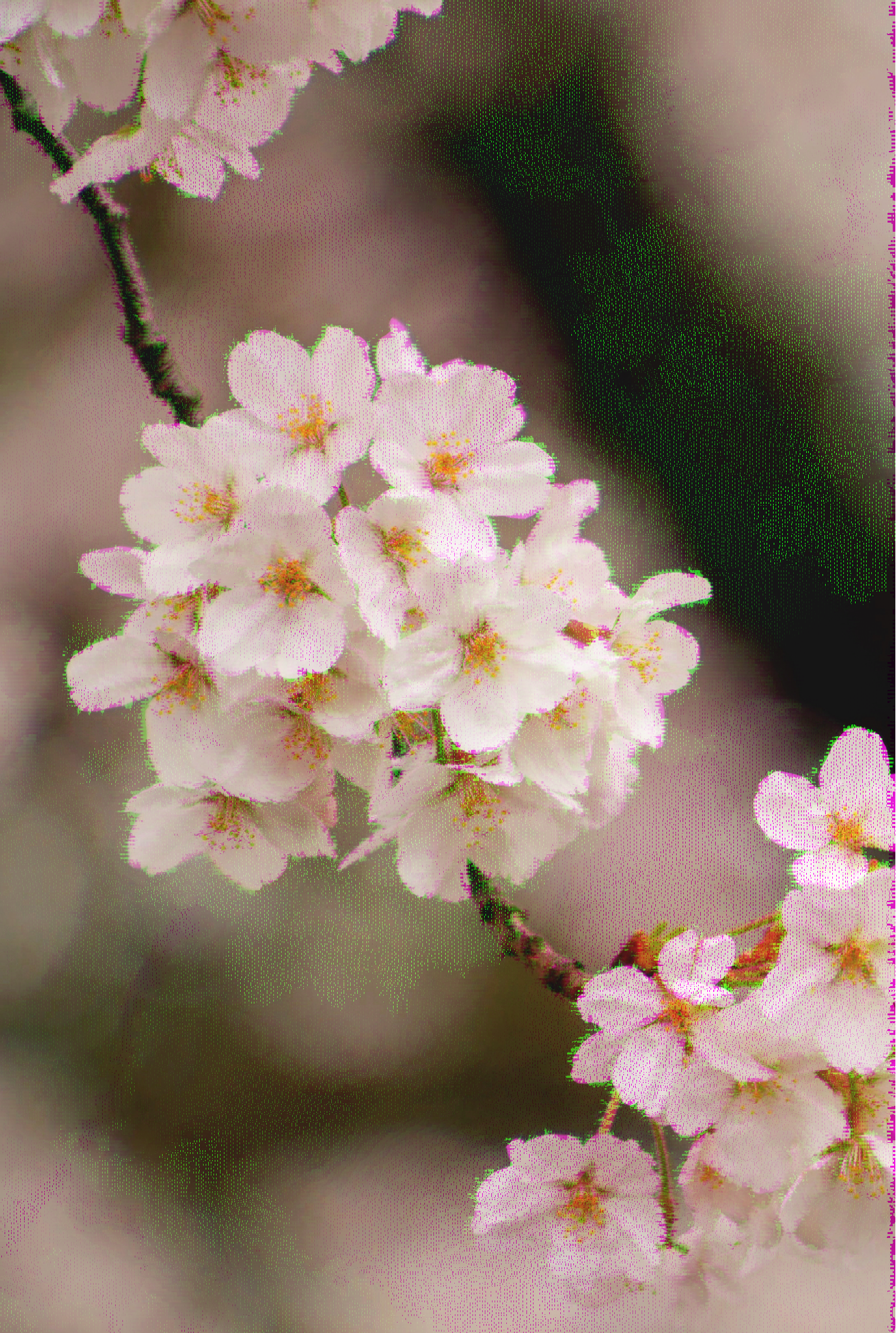 PXSL - Pixels to be reloaded gallery image