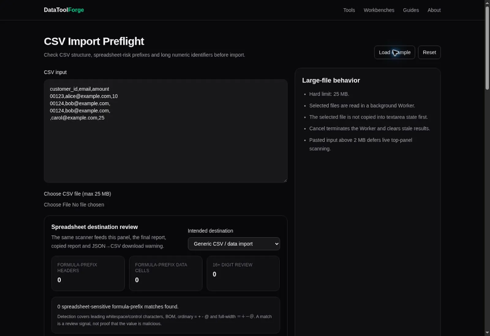 DataToolForge screenshot 3
