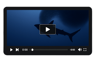 AutoCraft Player gallery image