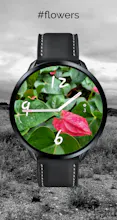 Stock Watch Face gallery image