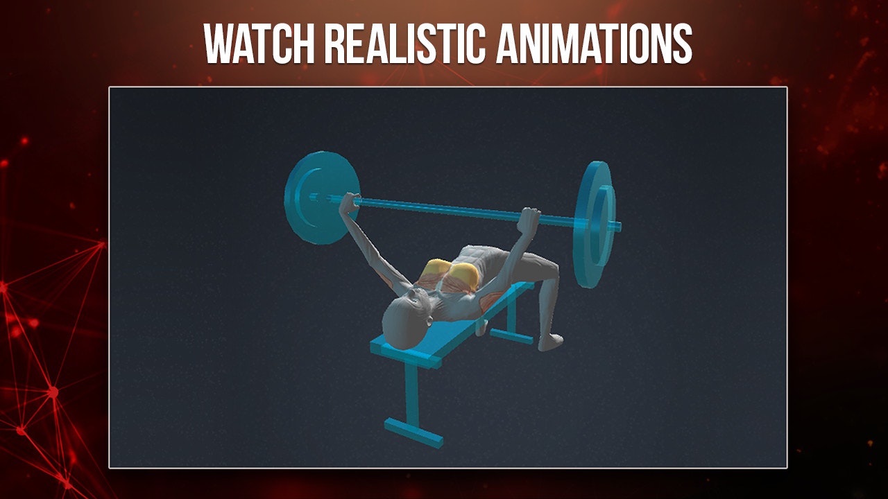 Sports Anatomy 3D gallery image