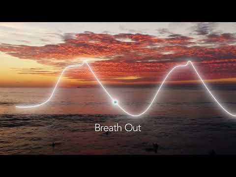 Panda Presence gallery image