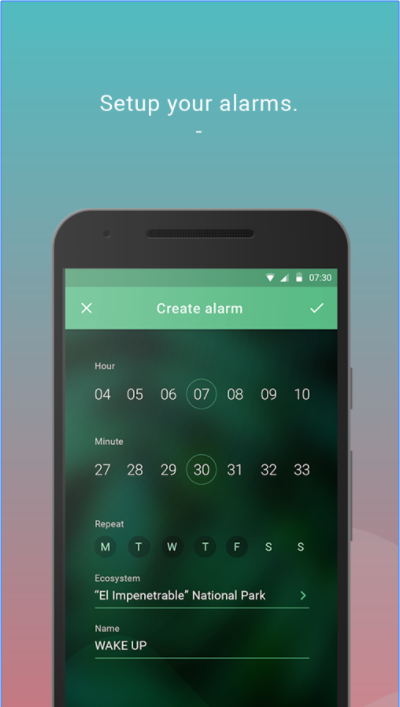 EcoAlarm gallery image