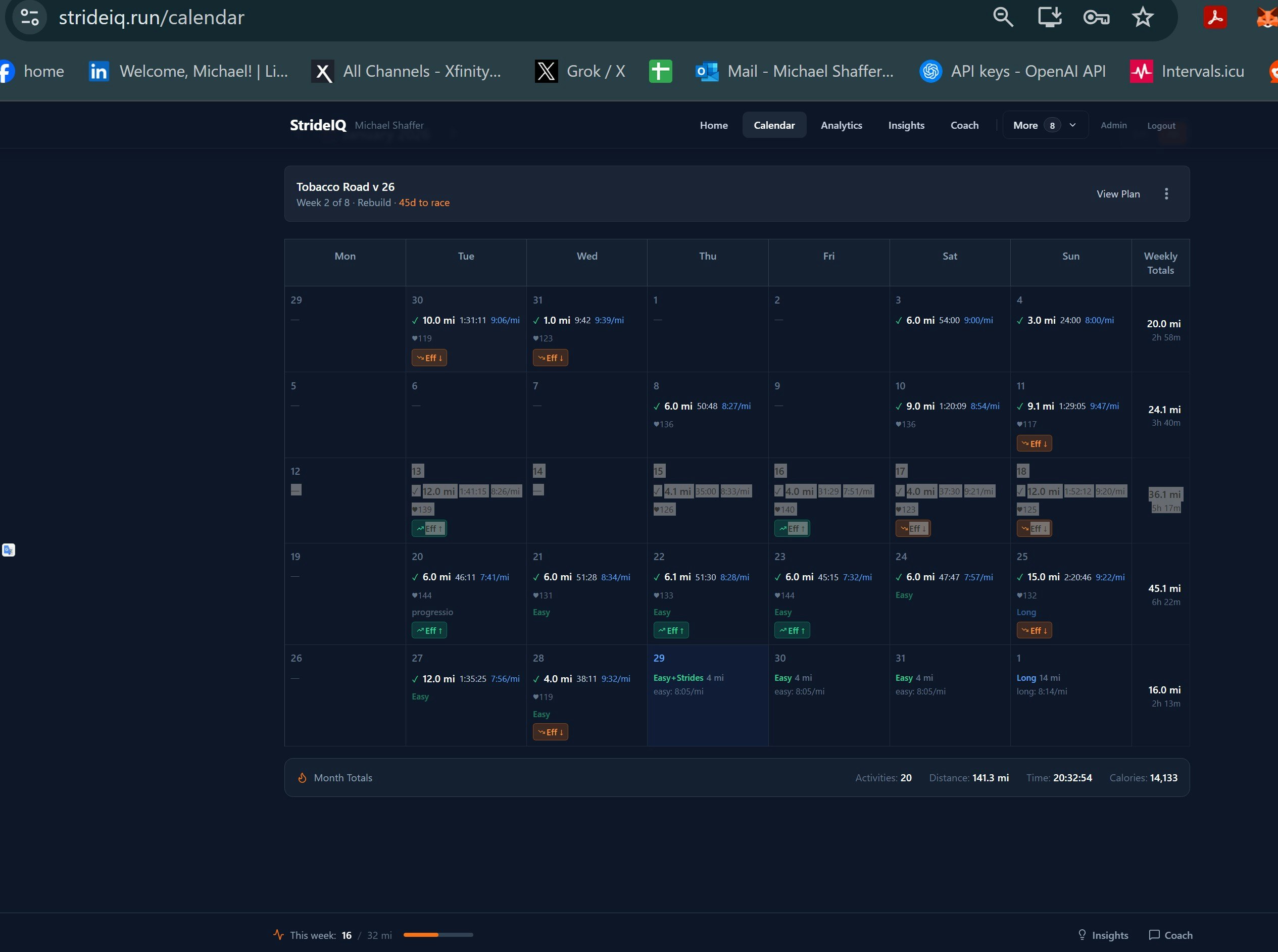 StrideIQ gallery image