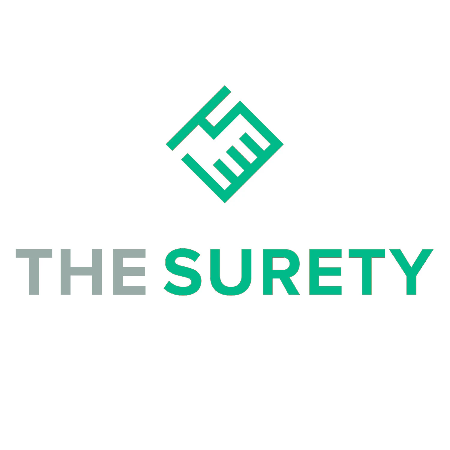 The Surety